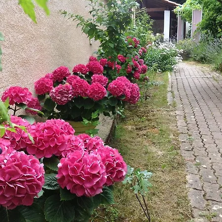 Le Beauséjour 3*