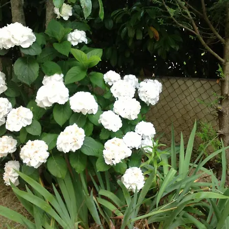 B&B Le Beausejour 카르카손