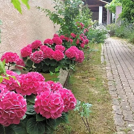 فندق مبيت وإفطار Le Beausejour قرقشونه